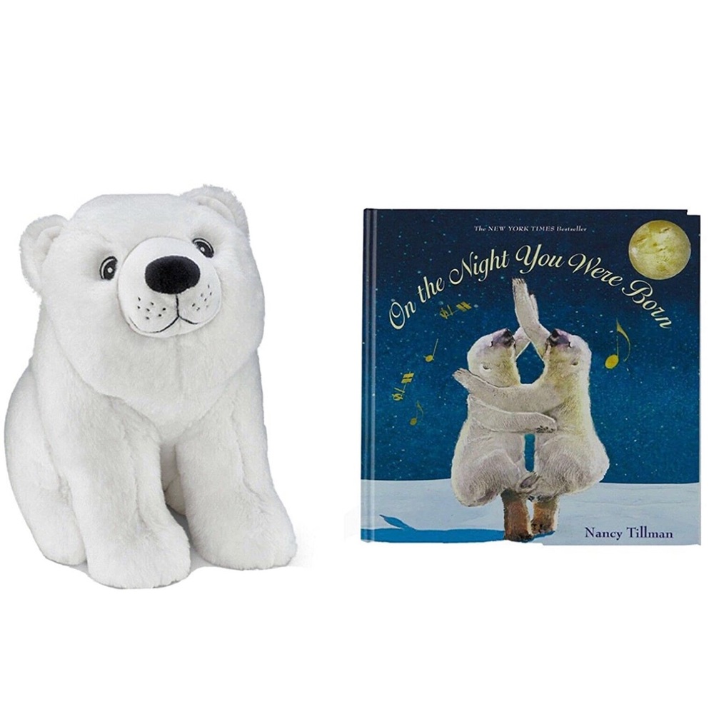 On the Night You Were Born Book and Stuffed Animal